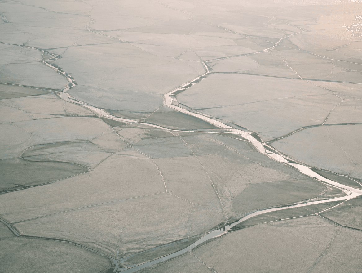 Water channels branching across a field